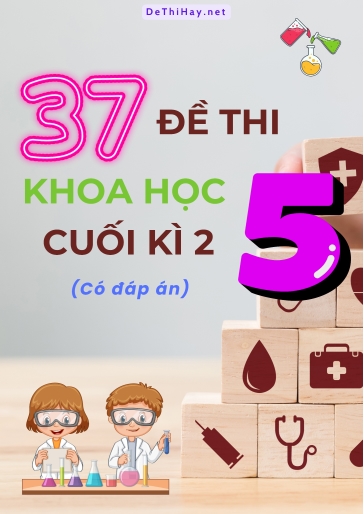 Bộ 37 Đề thi Khoa Học Lớp 5 cuối kì 2 (Có đáp án)