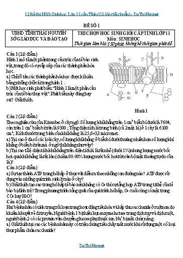 12 Đề thi HSG Sinh học Lớp 11 cấp Tỉnh (Có lời giải chuẩn) 12 Đề thi HSG Sinh học Lớp 11 cấp Tỉnh (Có lời giải chuẩn)
