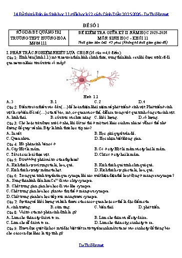 14 Đề thi và Đáp án Sinh học 11 giữa học kì 2 sách Cánh Diều 2025-2026