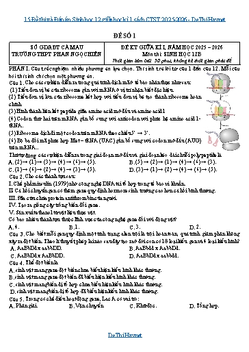 14 Đề thi và Đáp án Sinh học 12 giữa học kì 1 sách CTST 2025-2026