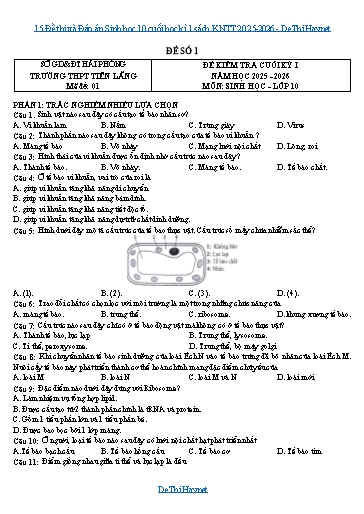 15 Đề thi và Đáp án Sinh học 10 cuối học kì 1 sách KNTT 2025-2026