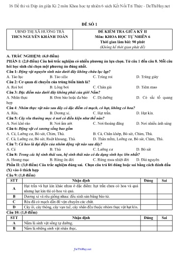 16 Đề thi và Đáp án giữa Kì 2 môn Khoa học tự nhiên 6 sách Kết Nối Tri Thức