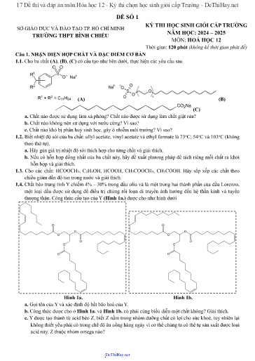 17 Đề thi và đáp án môn Hóa học 12 - Kỳ thi chọn học sinh giỏi cấp Trường