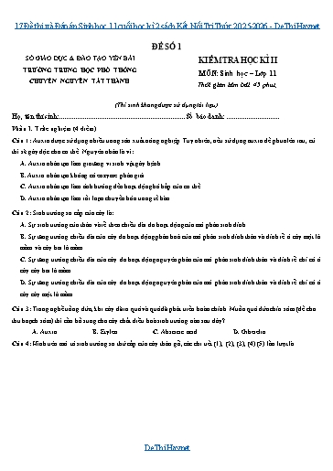 17 Đề thi và Đáp án Sinh học 11 cuối học kì 2 sách Kết Nối Tri Thức 2025-2026