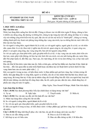 19 Đề thi và Đáp án Ngữ văn Lớp 11 cuối học kì 1 - Bộ Cánh Diều