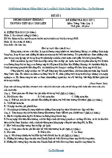 19 Đề thi và Đáp án Tiếng Việt Lớp 3 cuối kì 1 Sách Chân Trời Sáng Tạo