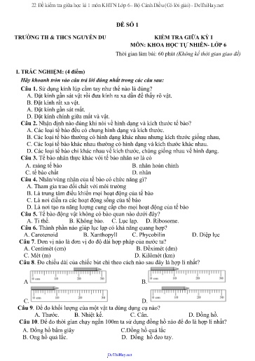 22 Đề kiểm tra giữa học kì 1 môn KHTN Lớp 6 - Bộ Cánh Diều (Có lời giải)