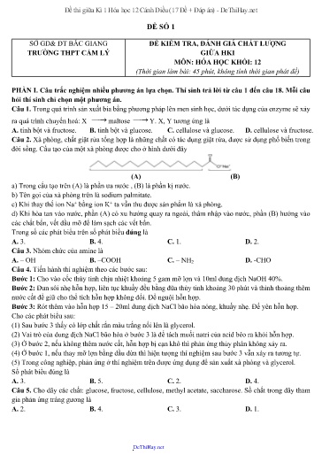 Đề thi giữa Kì 1 Hóa học 12 Cánh Diều (17 Đề + Đáp án)