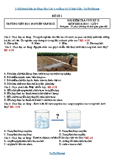 11 Đề thi và Đáp án Khoa Học Lớp 5 cuối học kì 2 Cánh Diều
