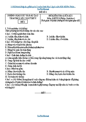 15 Đề thi và Đáp án giữa học kì 1 môn Sinh Học Lớp 8 sách Kết Nối Tri Thức