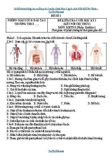 20 Đề thi và Đáp án cuối học kì 1 môn Sinh Học Lớp 8 sách Kết Nối Tri Thức
