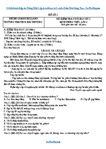 22 Đề thi và Đáp án Tiếng Việt Lớp 4 cuối học kì 1 sách Chân Trời Sáng Tạo