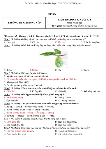 26 Đề thi và Đáp án Khoa Học Lớp 5 Cánh Diều