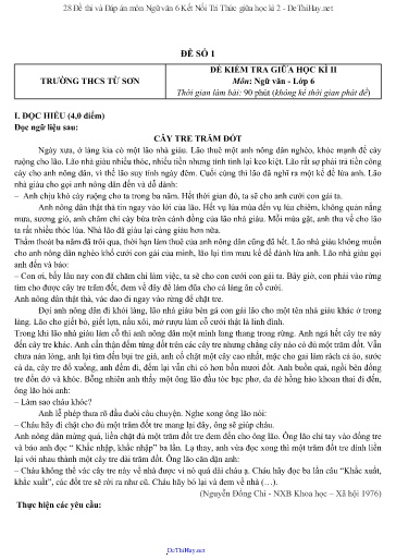 28 Đề thi và Đáp án môn Ngữ văn 6 Kết Nối Tri Thức giữa học kì 2