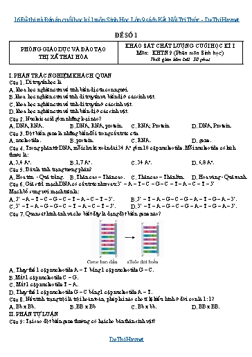 16 Đề thi và Đáp án cuối học kì 1 môn Sinh Học Lớp 9 sách Kết Nối Tri Thức