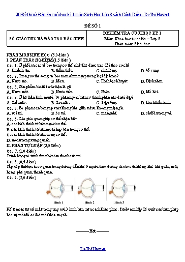 20 Đề thi và Đáp án cuối học kì 1 môn Sinh Học Lớp 8 sách Cánh Diều