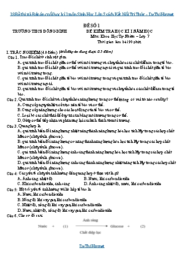 18 Đề thi và Đáp án cuối học kì 1 môn Sinh Học Lớp 7 sách Kết Nối Tri Thức