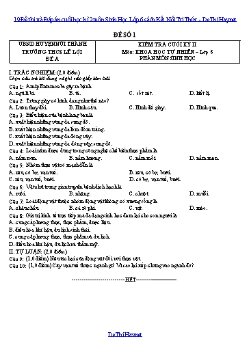 19 Đề thi và Đáp án cuối học kì 2 môn Sinh Học Lớp 6 sách Kết Nối Tri Thức