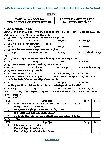 16 Đề thi và Đáp án giữa học kì 2 môn Sinh Học Lớp 6 sách Chân Trời Sáng Tạo