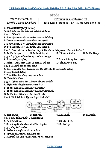 18 Đề thi và Đáp án giữa học kì 1 môn Sinh Học Lớp 6 sách Cánh Diều