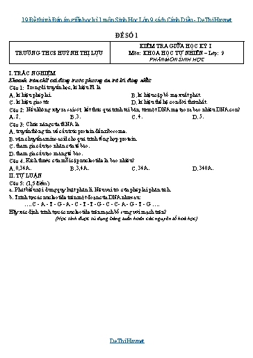 19 Đề thi và Đáp án giữa học kì 1 môn Sinh Học Lớp 9 sách Cánh Diều