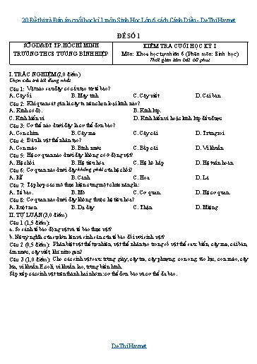 20 Đề thi và Đáp án cuối học kì 1 môn Sinh Học Lớp 6 sách Cánh Diều