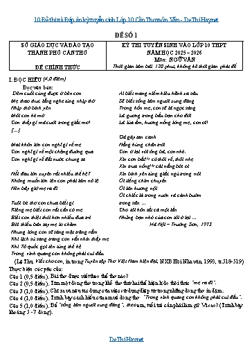 10 Đề thi và Đáp án kỳ tuyển sinh Lớp 10 Cần Thơ môn Văn