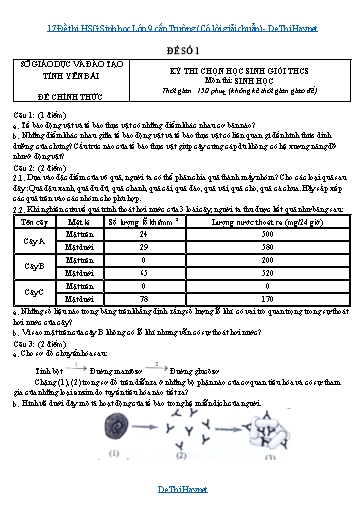 Đề thi HSG Sinh học Lớp 9 cấp Trường (Có lời giải chuẩn)