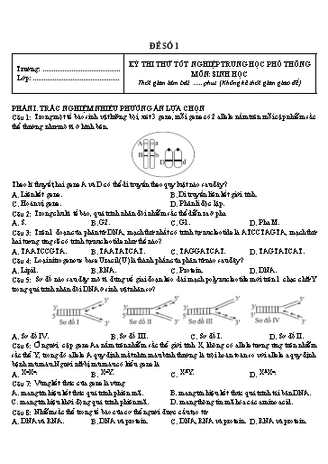 Bộ 8 Đề thi thử THPT Quốc gia môn Sinh Học Cụm các trường THPT Hà Nội 2025-2026 (Có đáp án)